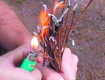 19 incendia - dr