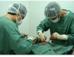 cirurgias DR