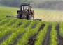 greengold-2
