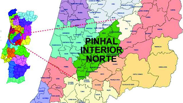 Image result for pinhal interior