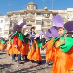 Câmara de Castelo Branco promove carnaval sem tolerância de ponto