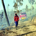 Duzentos hectares consumidos no incêndio em Penacova