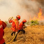 Temporada de incêndios florestais termina com balanço trágico