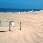 Reforço da restinga que protege Esposende envolve construção de duna artificial