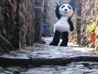 Canal Panda à descoberta das aldeias históricas