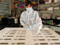 Investigadores da UC criam vacina nasal contra bioterrorismo com antraz