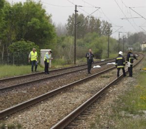 Linha ferroviária do Norte cortada em Coimbra após atropelamento