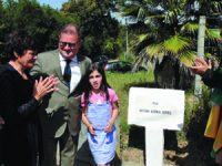 Toponímia figueirense homenageia o “homem bom” que foi Azenha Gomes