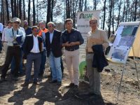 Grupo de trabalho com mandato de quatro anos para recuperar a floresta