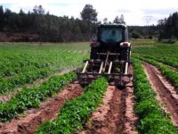 Confederação da Agricultura acusa Governo de esconder “grave crise” no setor