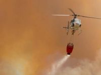Um dos maiores fogos do ano continua a arder em Sever do Vouga