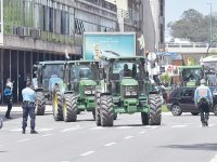 Tratores agrícolas em marcha lenta na Nacional 111