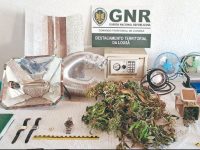 Detido suspeito de tráfico de droga em Arganil
