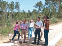 Arganil: Estrada até ao cimo da aldeia do Rochel foi beneficiada