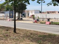 Cantanhede: Câmara vai plantar 95 árvores na Rua dos Bombeiros Voluntários