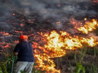 Incêndios: Meios aéreos reforçam combate às chamas em Odemira e Ourém