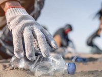 Câmara de Mira promove ação de limpeza costeira